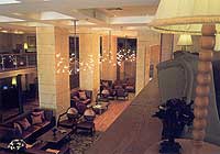 N.J.V. Athens Plaza Hotel  - lounge
