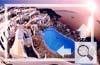 Volcanos View Villas Hotel - Pool Overview at Sunset - Santorini  Island - Greece